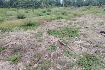 Banting 土地出售， Sungai Kelambu 2， 📌2.099 英亩平地出售