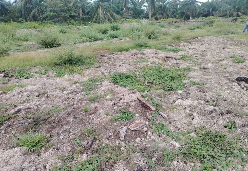 Banting 土地出售， Sungai Kelambu 2， 📌2.099 英亩平地出售