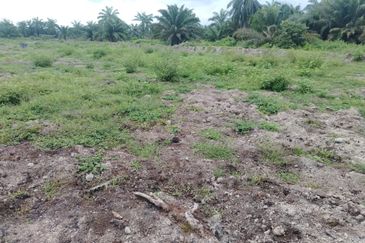 Banting 土地出售， Sungai Kelambu 2， 📌2.099 英亩平地出售