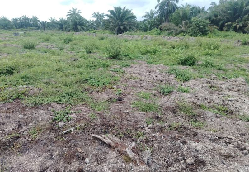 Banting 土地出售， Sungai Kelambu 2， 📌2.099 英亩平地出售