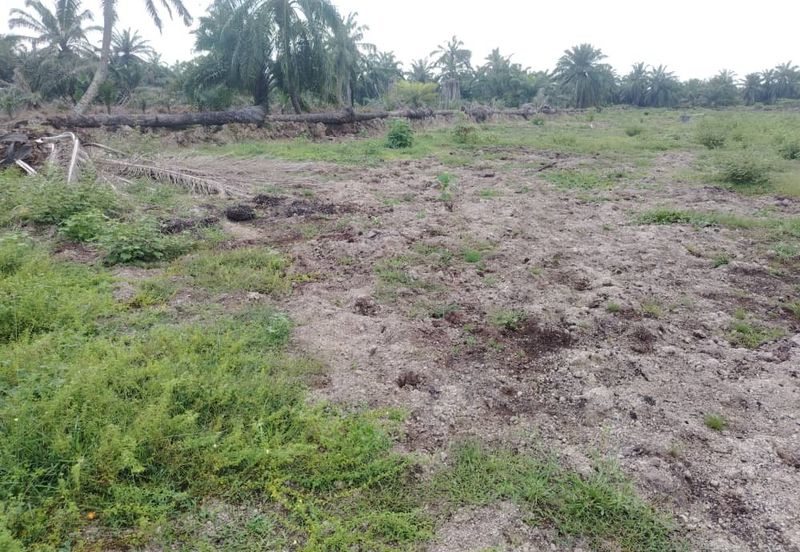 Banting 土地出售， Sungai Kelambu 2， 📌2.099 英亩平地出售