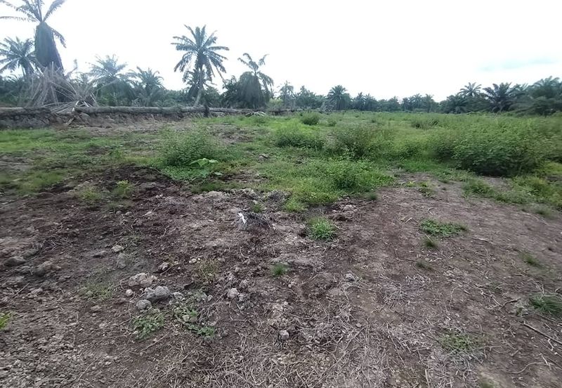 Banting 土地出售， Sungai Kelambu 2， 📌2.099 英亩平地出售