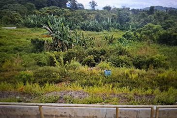 Tanjung Malim Industrial Park