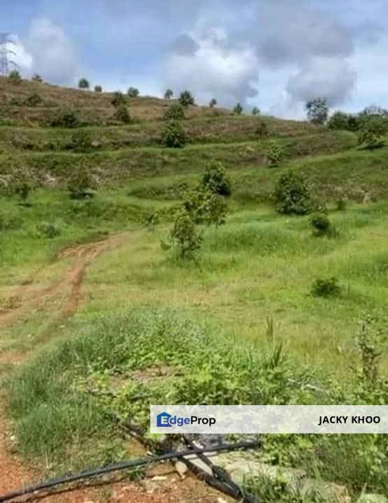 Kuala Lipis Land Pahang 🎈29 Acres Hill Land 🎈Just Beside Jalan Kerambit 🎈Kampung Kerambit 2KM  🎈Kuala Lipis Town 25KM, Pahang, Kuala Lipis