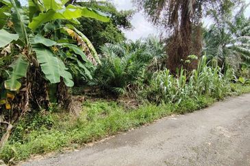 Telok Panglima Garang Industrial Zone