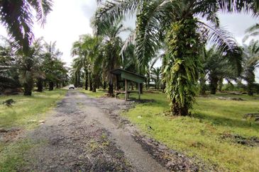 直落土地 Telok Panglima Garang  📌14 英亩 📌永久业权