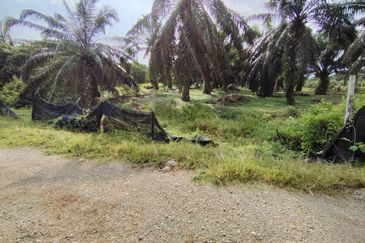 直落土地 Telok Panglima Garang  📌14 英亩 📌永久业权