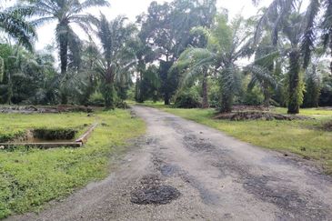 直落土地 Telok Panglima Garang  📌14 英亩 📌永久业权