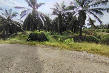 直落土地 Telok Panglima Garang  📌14 英亩 📌永久业权