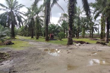直落土地 Telok Panglima Garang  📌14 英亩 📌永久业权