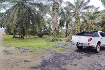 直落土地 Telok Panglima Garang  📌14 英亩 📌永久业权