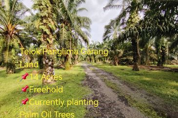 直落土地 Telok Panglima Garang  📌14 英亩 📌永久业权