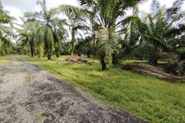 直落土地 Telok Panglima Garang  📌14 英亩 📌永久业权