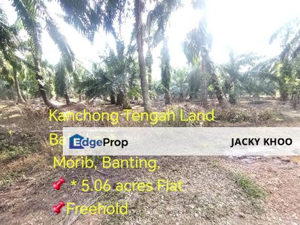 Kanchong Tengah Land土地 Batu Laut  Morib，Banting， 📌 * 5.06 英亩平地 📌Freehold  📌石路旁, Selangor, Banting