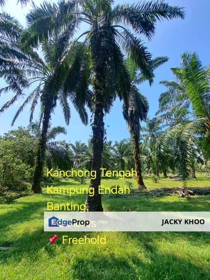 Kanchong Tengah  Kampung Endah  摩立, Morib,  Banting,  📌5英畝   📌 永久業權   📌石路可以開車到達这地, Selangor, Banting