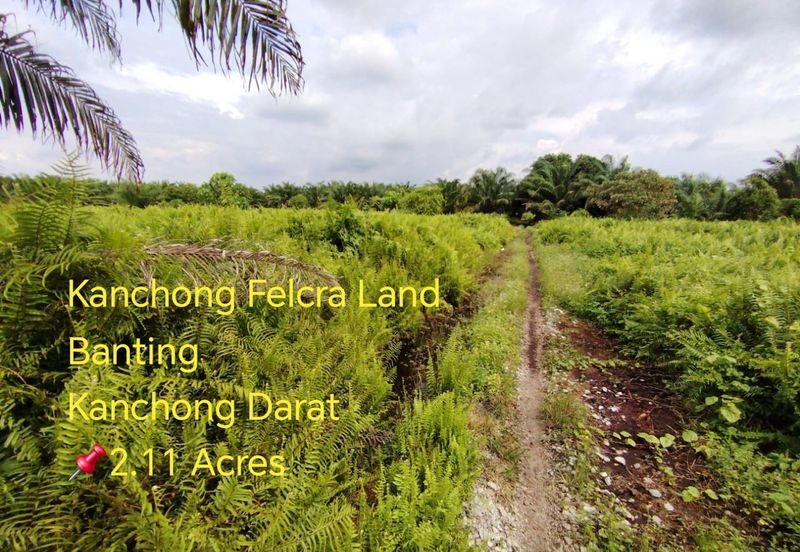 Kanchong Felcra Land  Kanchong Darat   万津  📌2.11 英亩   📌平坦的土地   📌空旷的土地  📌储备路旁