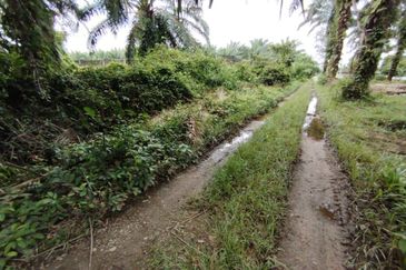 Kampung Endah,  Banting,  Kelanang,  Kanchong Tengah   📌5英亩土地   📌红土路到达土地   📌永久业权