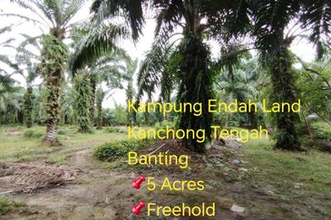 Kampung Endah,  Banting,  Kelanang,  Kanchong Tengah   📌5英亩土地   📌红土路到达土地   📌永久业权