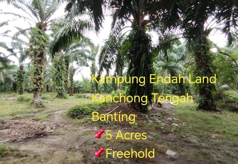 Kampung Endah,  Banting,  Kelanang,  Kanchong Tengah   📌5英亩土地   📌红土路到达土地   📌永久业权