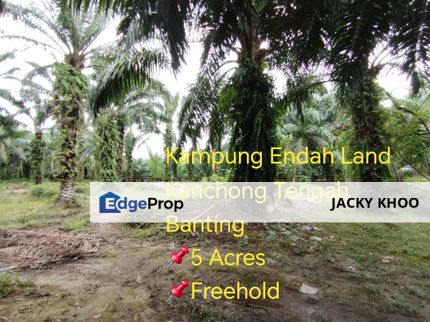 Kampung Endah,  Banting,  Kelanang,  Kanchong Tengah   📌5英亩土地   📌红土路到达土地   📌永久业权, Selangor, Banting