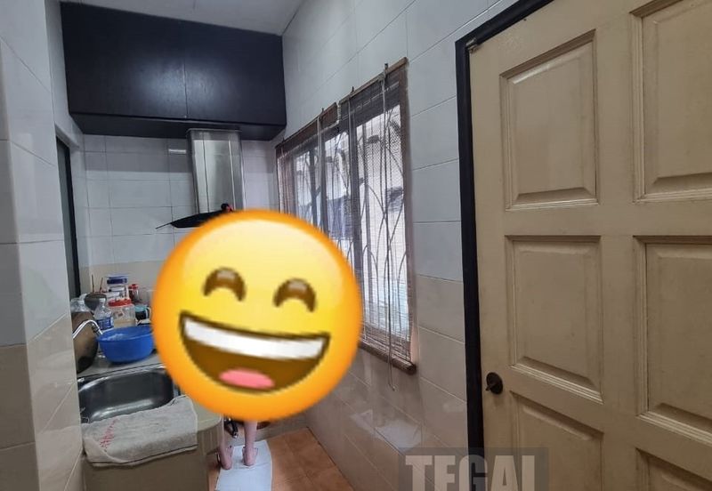 Butterfly Park @ Bandar Bukit Tinggi