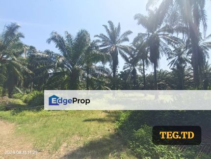 Jenjarom Zoning Industrial Agriculture Land 3.5 acre, Selangor, Jenjarom