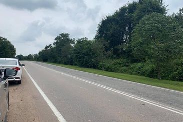 Kulai / Simpang Rengam Agriculture land 