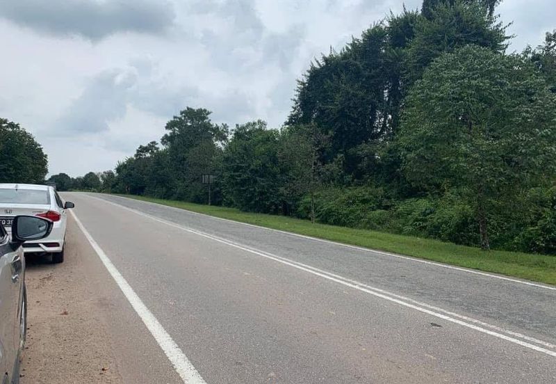 Kulai / Simpang Rengam Agriculture land 