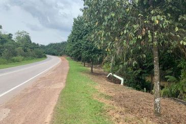 Kulai / Simpang Rengam Agriculture land 