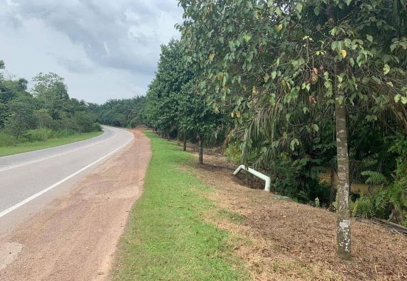 Kulai / Simpang Rengam Agriculture land 