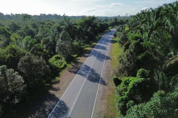 Kulai / Simpang Rengam Agriculture land 
