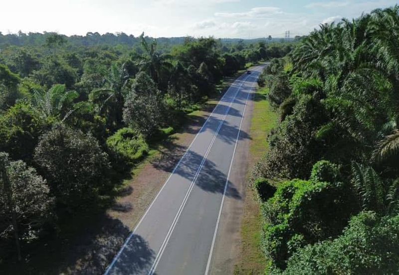 Kulai / Simpang Rengam Agriculture land 