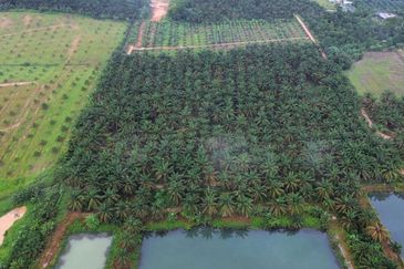 Kulai Agriculture Land (5 Acres)