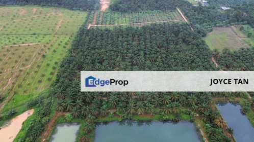 Kulai Agriculture Land (5 Acres), Johor, Kulai