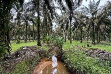 Kulai Agriculture Land (5 Acres)