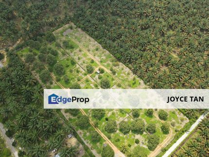 Kulai Durian Farm (5.18 Ekar) - Agriculture Land , Johor, Kulai