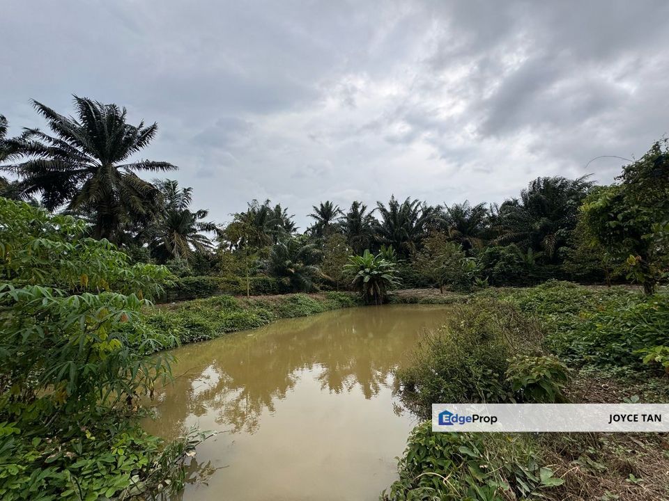 Kulai Durian Farm (5.18 Ekar) - Agriculture Land , Johor, Kulai
