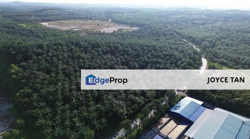 Kulai Simpang 38/39 (Beside Mainroad) - 50 Ekar Industrial Land , Johor, Kulai