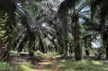 Senai Industrial Park