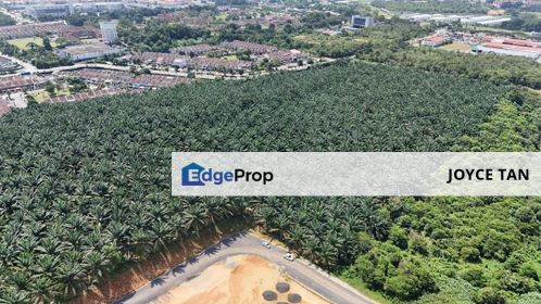 Saleng @ Senai Residential Land (7.5 Ekar), Johor, Senai