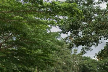 Kawasan Perindustrian Indahpura