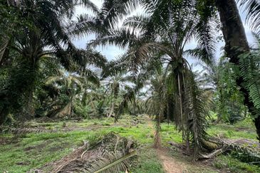 JERAM BATU PEKAN NENAS