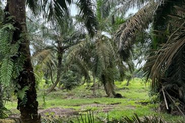 JERAM BATU PEKAN NENAS