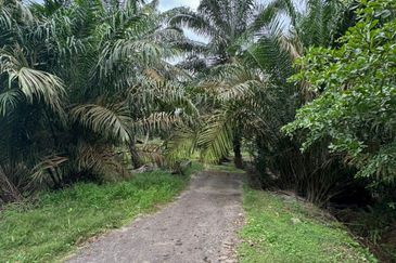JERAM BATU PEKAN NENAS