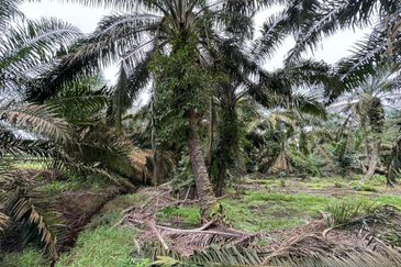 JERAM BATU PEKAN NENAS