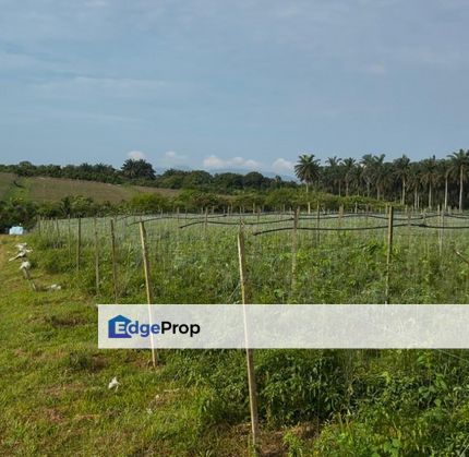 Senai Kulai Johor Agricultural Land For Sale, Johor, Kulai