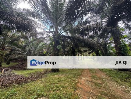 Sengkang Agriculture Land For Sale , Johor, Kulai