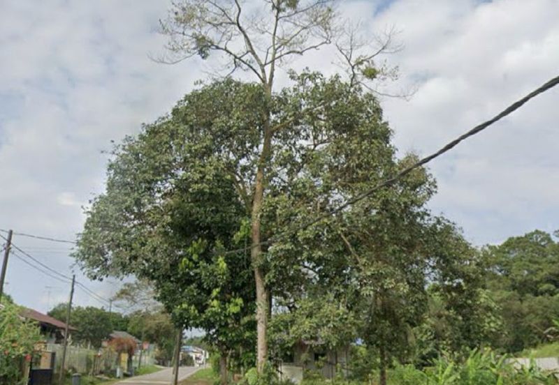 Kulai Residential Land Leasehold