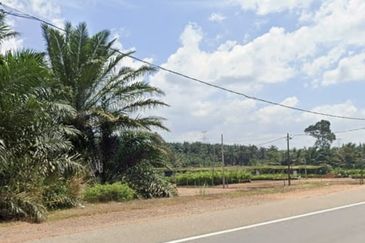 Labis Yong Peng Agriculture Land