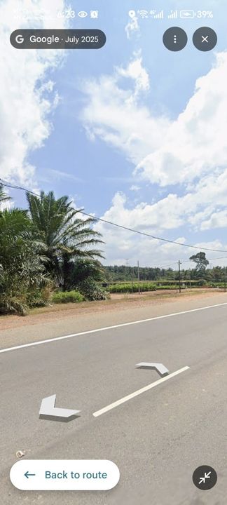 Labis Yong Peng Agriculture Land, Johor, Yong Peng